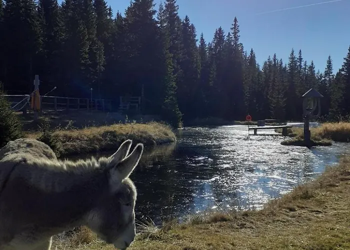 Lachtalhuette By Interhome Prázdninový dům Lachtal