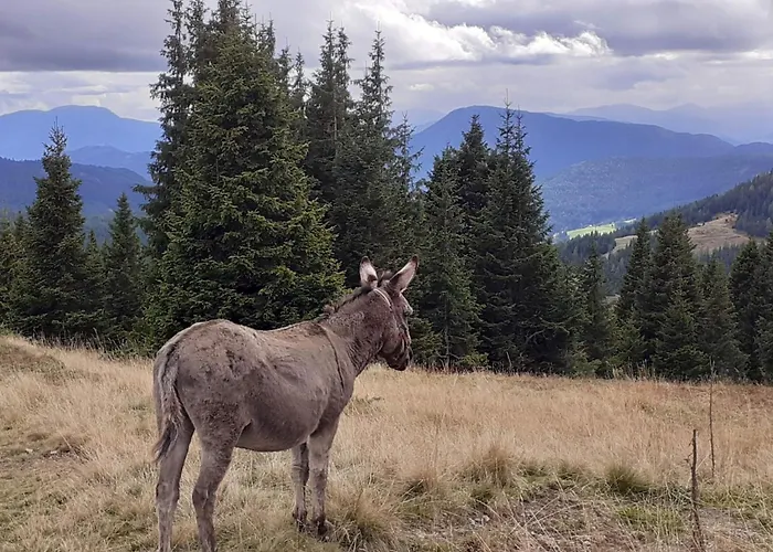 Lachtalhuette By Interhome